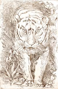 Etching by Min James